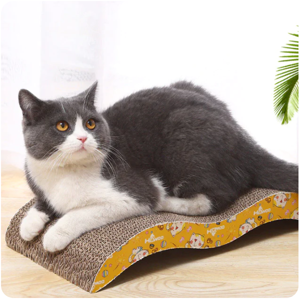 Catnip scratch mat best sale