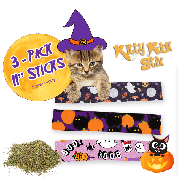 Halloween 11" (3 Pack)