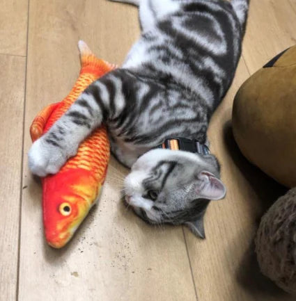 Fish cat toy catnip kicker best sale